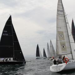 La Ballena de Oro se decide en San Sebastián