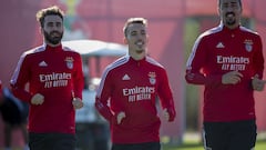 "Si marco no lo celebraré por respeto; me crié allí"