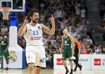 Sergio Llull.