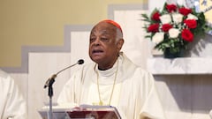 Could the first American Pope be African-American? All about Cardinal Wilton Gregory