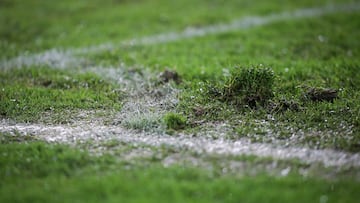 Así responden al estado de la mala grama de El Campín.