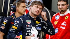 “Verstappen sabe el peso de su opinión”