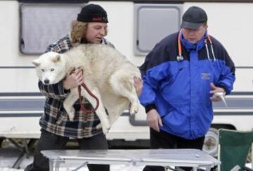 Bonitas imágenes de una de las carreras de trineos con perros más largas del continente. Cada año llegan a la aldea checa de Destne corredores de todas partes de Europa.