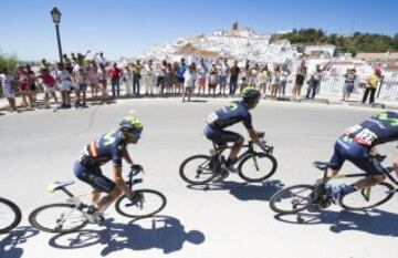 Valverde en Alcalá de los Gazules.