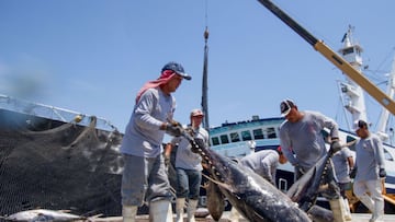 Finaliza la veda y comienza temporada de pesca