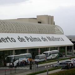 Una mujer ingresa en la UCI tras beber un café con insectos en Palma