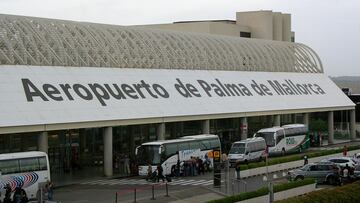 Una mujer ingresa en la UCI tras beber un café con insectos en Palma