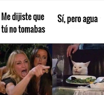 Meme gato