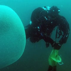 Descubren misteriosas esferas gelatinosas en el agua de Mallorca