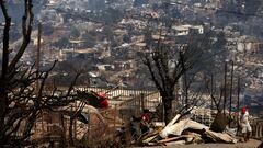 FIBE para damnificados por los incendios en Chile: esto debes saber y por qué no rellenar nada por Internet