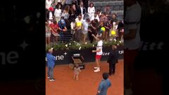 El hijo de Jarry entra a la cancha tras la final y se roba el show con esto: Juanito, el futuro del tenis chileno