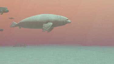 Endless Ocean Luminous: para sacar a tu biólogo marino interno