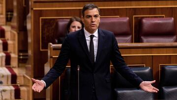 Pedro S&aacute;nchez.