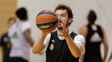 Sergio Llull.