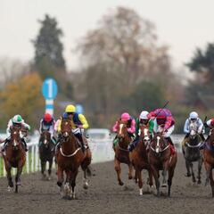 Haku, el caballo favorito para ganar en Southwell 8