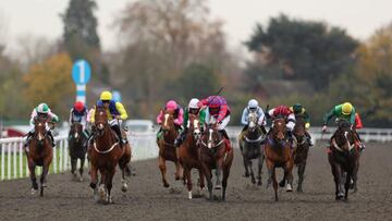 Haku, el caballo favorito para ganar en Southwell 8