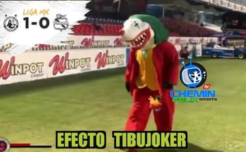 Los memes lloran de alegría con la victoria de El Tibu