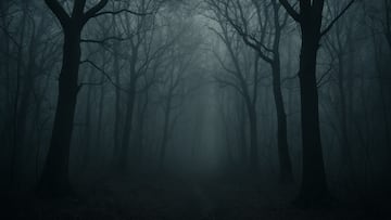 A chilling local tale of a tragic bus crash in Wood County inspired a 2018 paranormal documentary film... but did it actually happen?