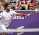 Verdasco cedió la final de Bastad a Berlocq en dos sets
