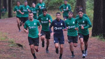 Invierno bajo los pinos de Liencres