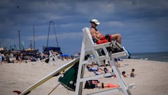 Florida’s hidden danger signal: Which lifeguard flags warn of jellyfish in the waters?