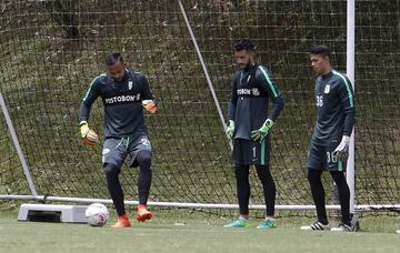 Atlético Nacional enfrenta al Bucaramanga en la segunda fecha de la Liga en el Atanasio.