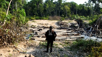 FILE PHOTO: Pahnin Mekragnotire, a 40-years-old indigenous man of the Kayapo tribe, observes logs left by loggers during a surveillance patrol the Menkragnoti Indigenous Land to defend their territory against attacks by loggers and miners at the Krimej village in southwestern Para state, Brazil, September 7, 2021. Picture taken September 7, 2021. REUTERS/Lucas Landau/File Photo