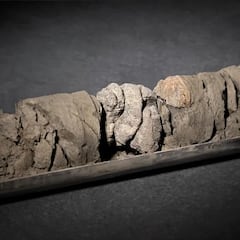 Un museo hace una excavación en su propio parking y encuentra un fósil histórico: “Nada menos que mágico”