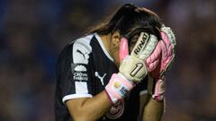 Revive el triunfo de Tigres sobre Chivas en imágenes