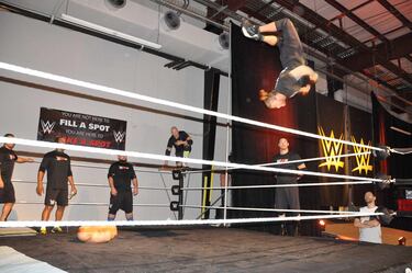 WWE 2K15, Impresiones Modo Carrera