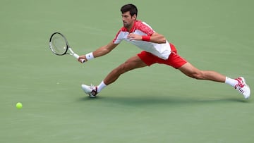 Imperious Djokovic gains Cecchinato revenge