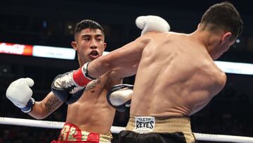 Julio C&eacute;sar Mart&iacute;nez y McWilliams Arroyo durante su combate.