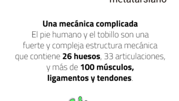 El gráfico que explica cómo es la lesión de Neymar