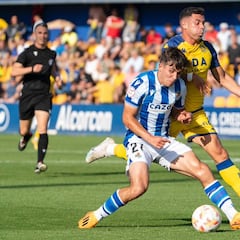 Potrillos libres en el mercado