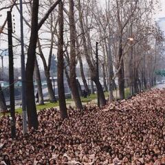 Cuándo estuvo Spencer Tunick en Chile y así fue la foto que sorprendió al país