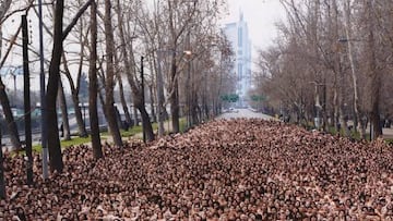  Cuándo estuvo Spencer Tunick en Chile y así fue la foto que sorprendió al país