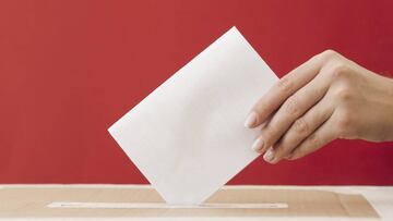 Plebiscito Nacional 2020: ¿Qué significa y qué consecuencias tiene la expresión "hoja en blanco"?