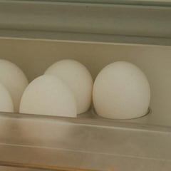 ¿Por qué no hay que guardar los huevos en la puerta de la nevera?