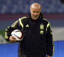 Del Bosque: "El futuro de la selección es prometedor"