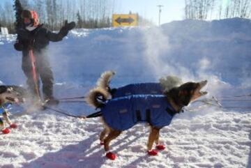 Iditarod: 1.000 km por el desierto de hielo de Alaska