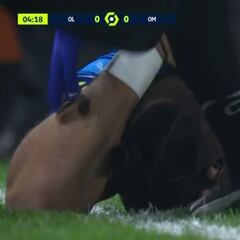 El botellazo ultra a Payet que abochorna a Francia y al mundo