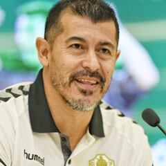 "Seguro que el Cholo dirigirá a Argentina, le están esperando"