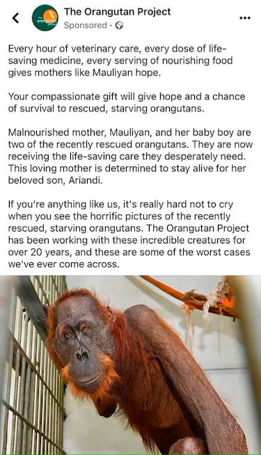 If you do this, you can check if your phone is secretly listening to you