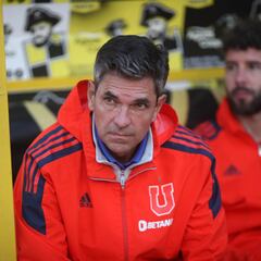 Las dudas de Pellegrino