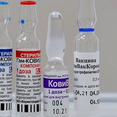 Vacuna Sputnik V: cuándo llegarán nuevas dosis y cuándo comenzará su distribución