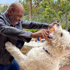 Tyson: "Peso 104 kg y estoy en mejor forma que nunca"