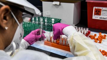 (FILES) In this file photo taken on August 13, 2020, a lab technician sorts blood samples inside a lab for a Covid-19 vaccine study at the Research Centers of America (RCA) in Hollywood, Florida,. - Pfizer, Moderna, Novavax: executives at several American