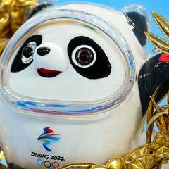 Bing Dwen Dwen mania sees fans camp overnight for mascot merchandise