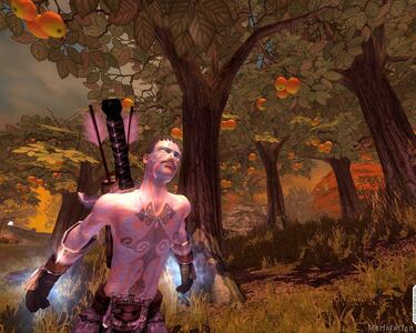 Nuevas imagenes de Fable: The Lost Chapters para PC