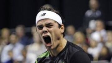 Milos Raonic venció a Tommy Haas por 6-4, 6-3 en la final del Torneo de San José.